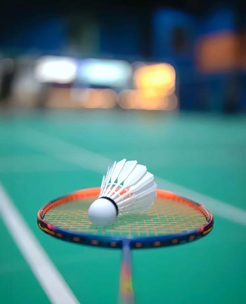 克雷霍维亚克：我不会复出，不能像什琴斯尼那样“出糗”