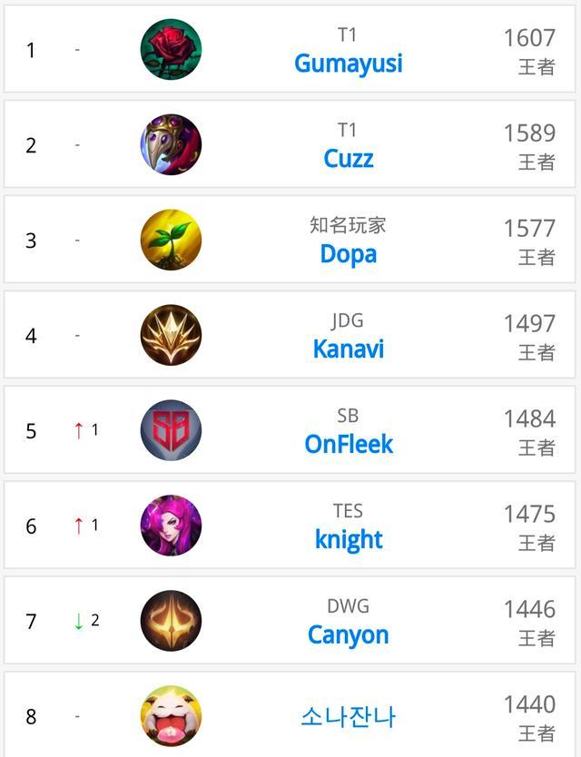 的健康问题 的健康问题