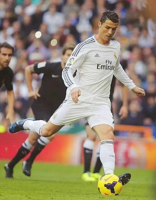 迷最热衷的 迷最热衷的